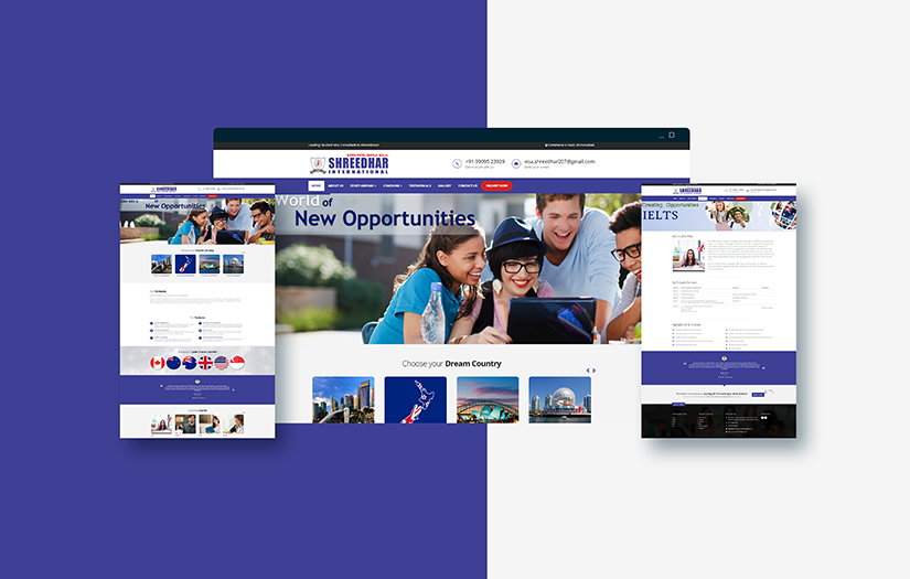 Shreedhar International screenshot 1